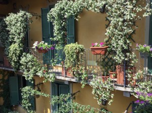 Small balconies in front of Silvia's home.