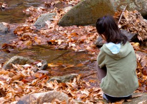 An old picture from November 2010