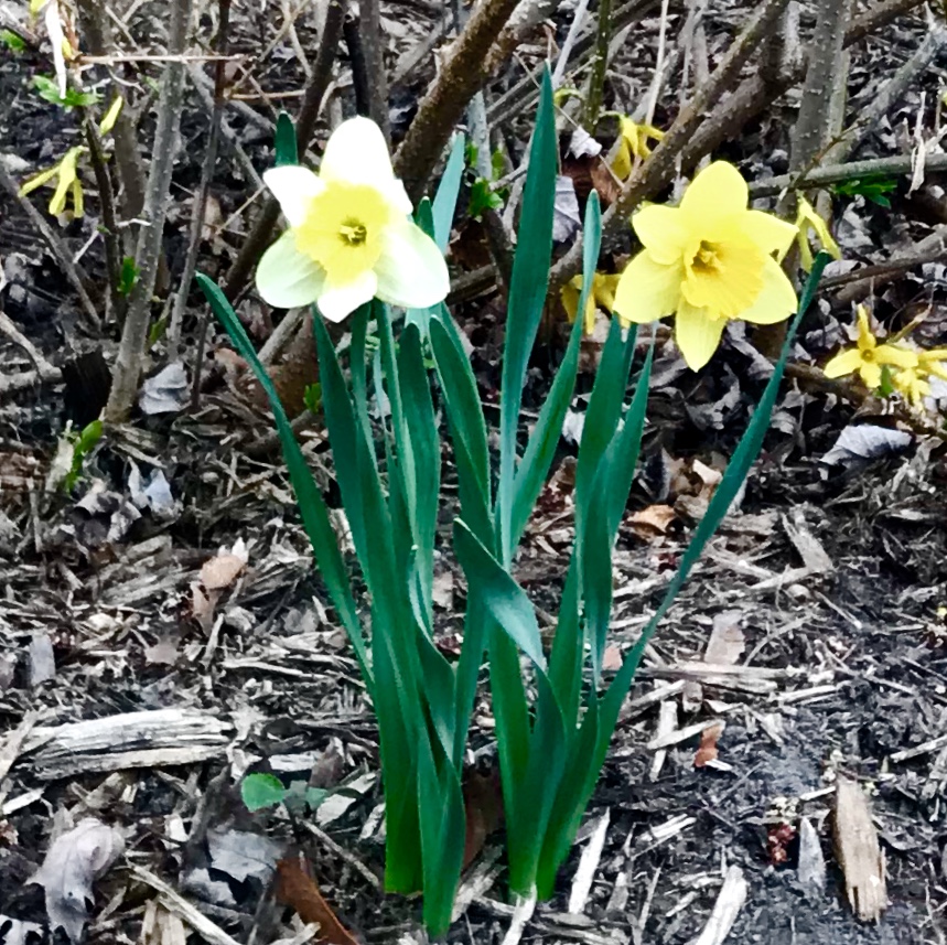 7822C7DC-92EE-42E4-86EC-B71B7E2D7C69