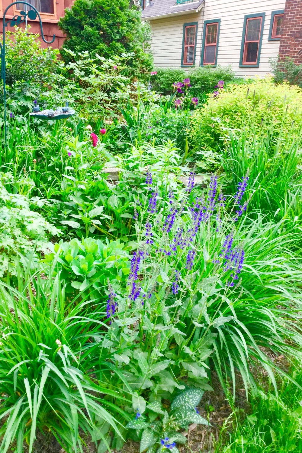 8F6F222D-EAE8-40CD-A554-102B863BF2AD