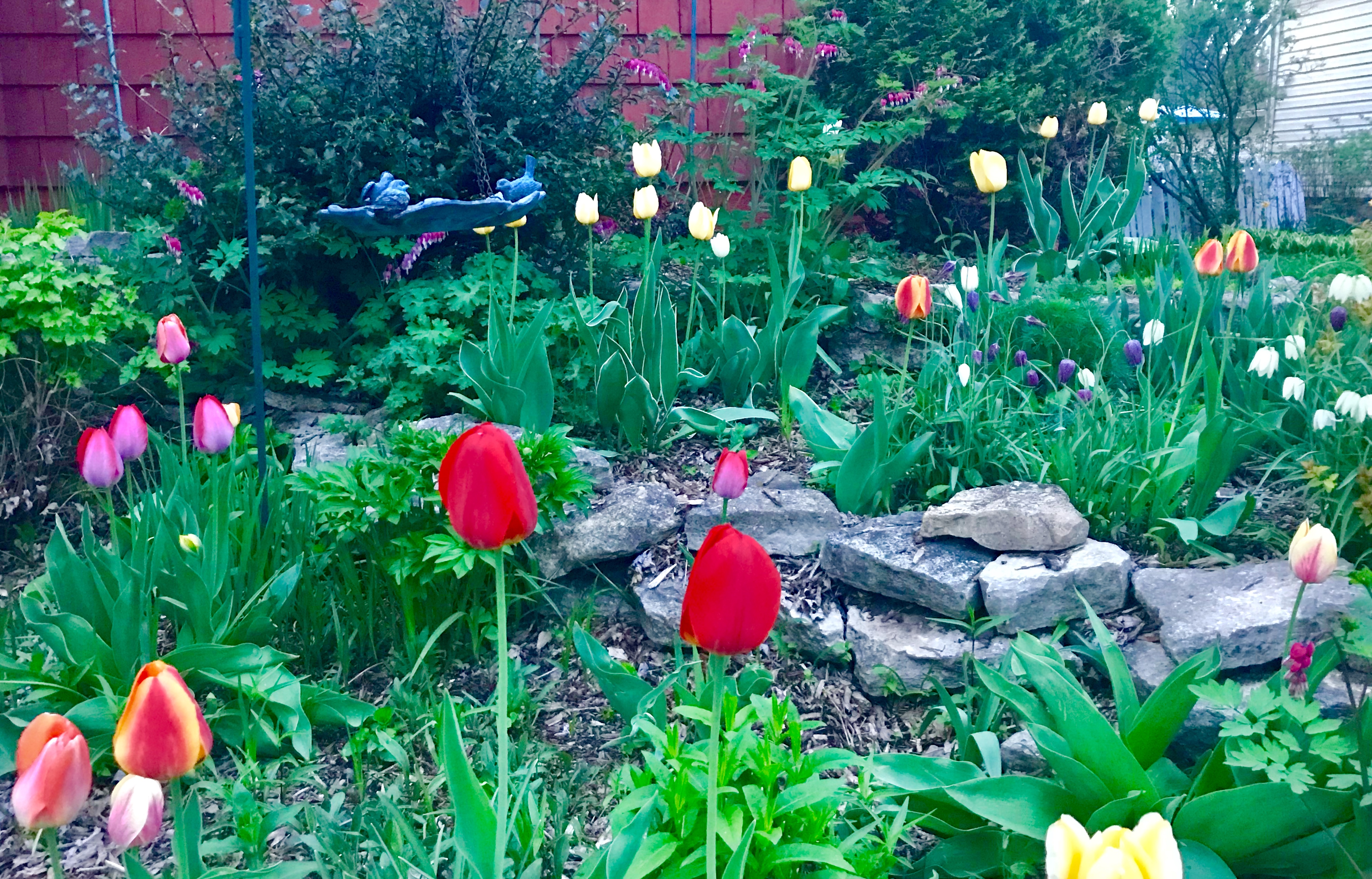 AE0CBD2F-5AED-4BE1-BC55-3651153B147E