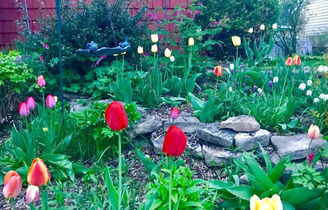 AE0CBD2F-5AED-4BE1-BC55-3651153B147E