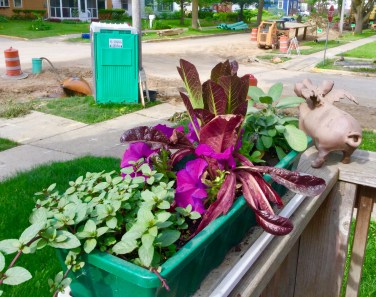 E5A05415-9239-4230-AA79-BC1EF0ADF90F