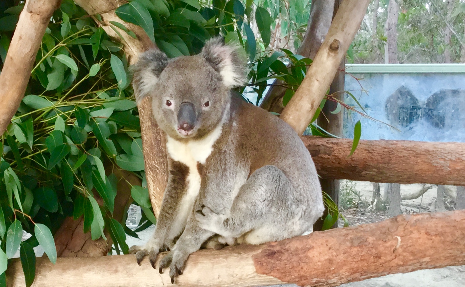 2FEE176F-2829-4F02-91AE-FC2715000860