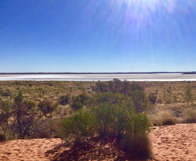 778B0ED2-41E7-4EBA-B278-8EA6C507356B