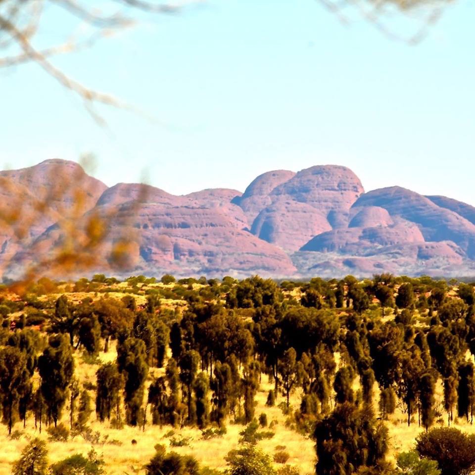 F520338A-BC2F-45A1-9559-FE1A9F7853FF