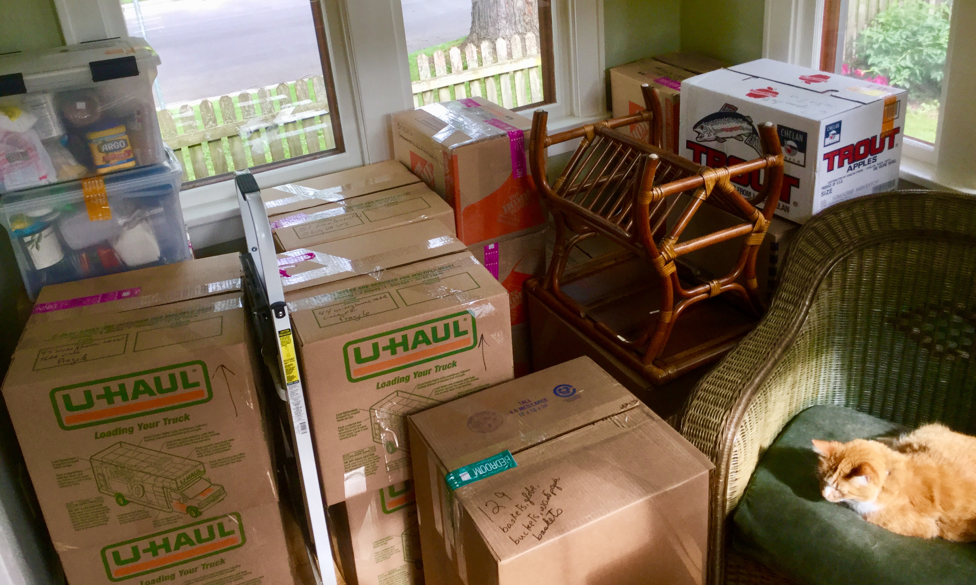 0FAFD24A-F622-4366-AA49-EF120EA48B68