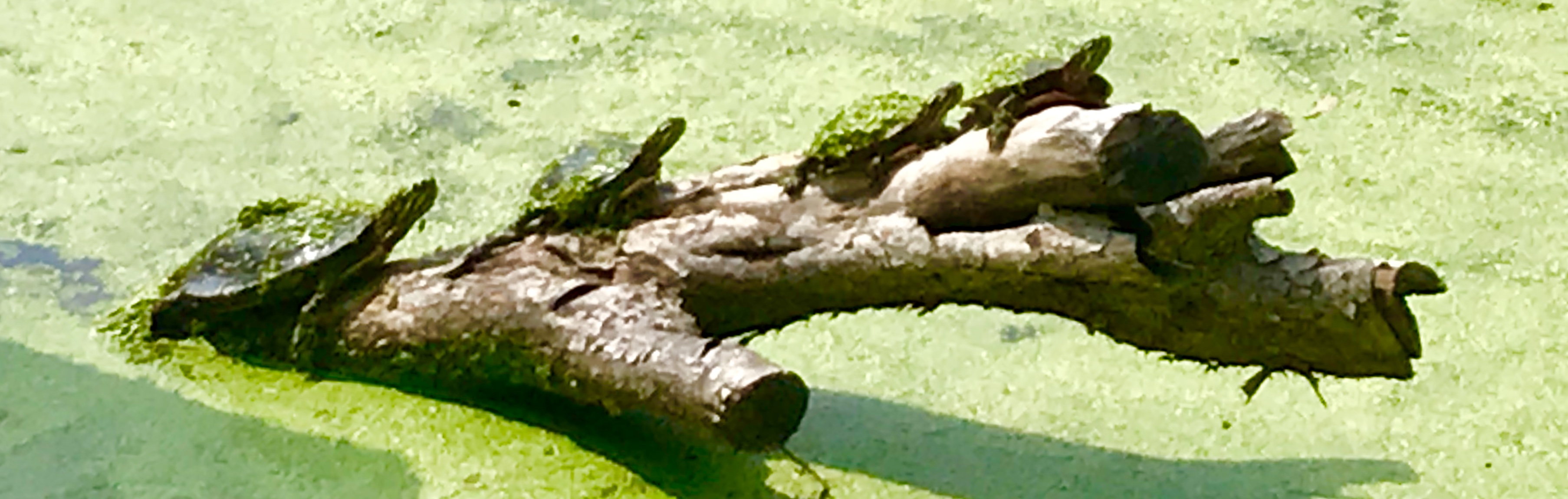 9E740784-01C3-4054-855F-C8FE90F2BD80