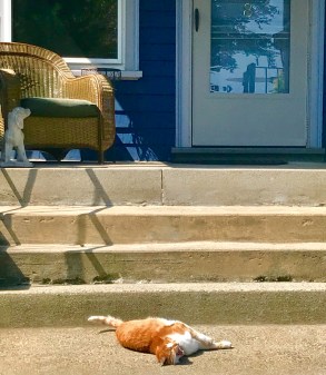 3EA378C3-D6BE-4DEC-8D60-6C5145521071