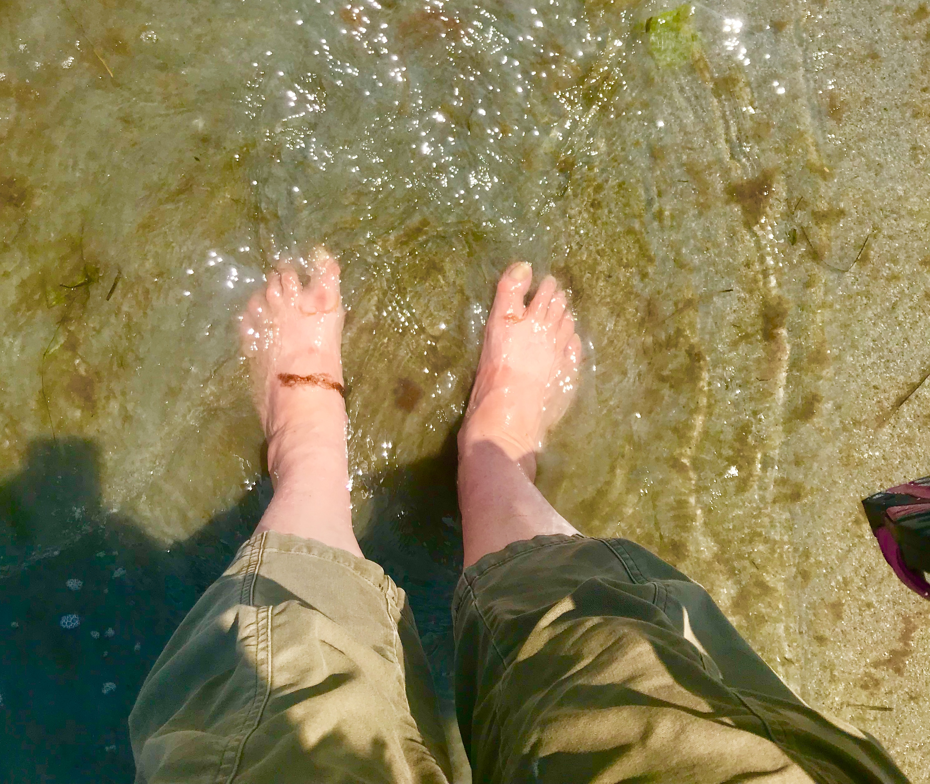 432344A0-42BB-428A-9AE6-065C84CA861D