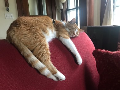 BCE05011-526C-4162-8C8A-414CBCDC75C9