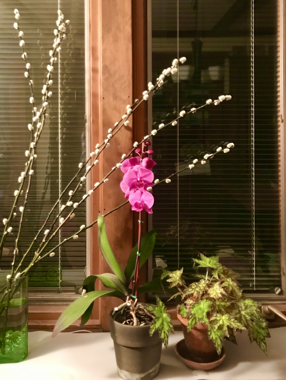 25A554FE-6C0F-4773-B3AA-2B808E97FEDF