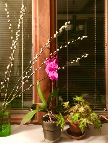 25A554FE-6C0F-4773-B3AA-2B808E97FEDF