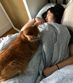 F3E5602C-2940-4070-B55B-9DDBA578098F