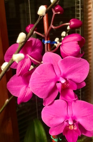 F99B875C-16F3-4234-AAD8-8C35623621A2