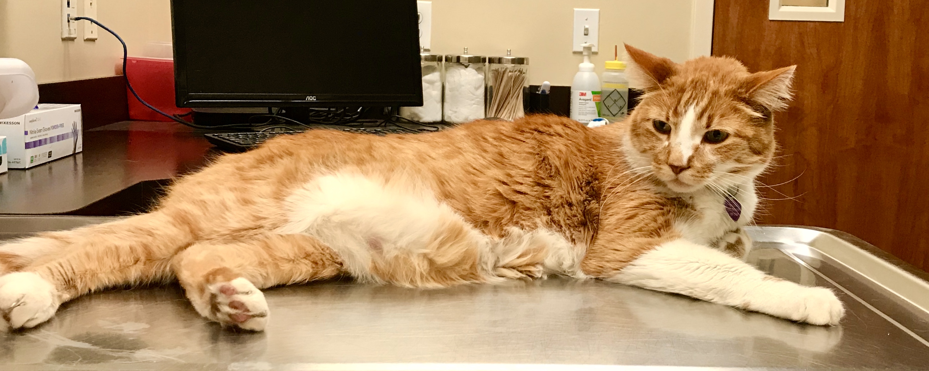 FA5D7231-271E-492D-8A1D-4F308E7844C3