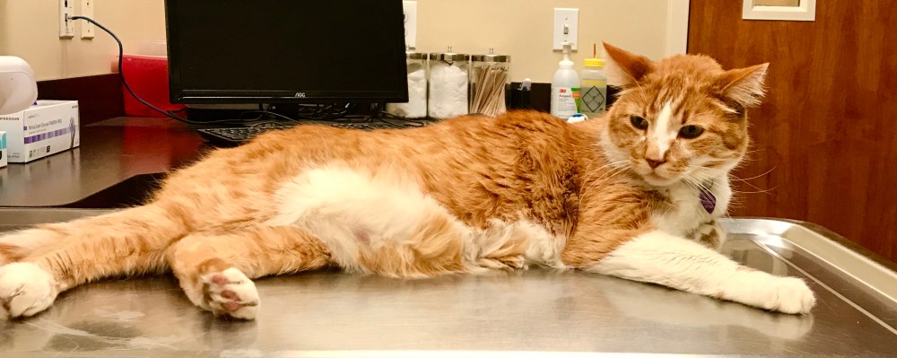 FA5D7231-271E-492D-8A1D-4F308E7844C3