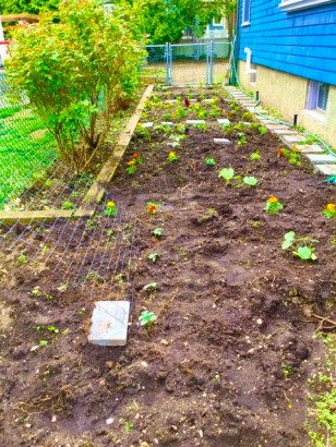 1F3CDE01-47FF-463A-A561-75D67AF496B2