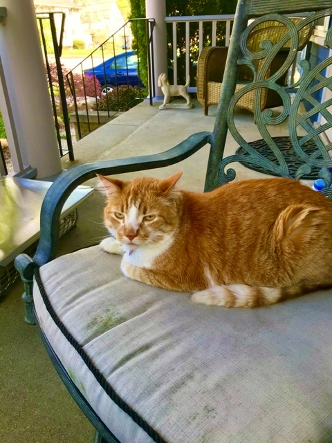 2CB2E505-4EAA-4A33-8555-1820F61563E3